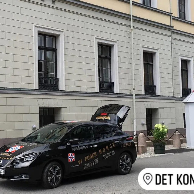 På oppdrag hos det kongelige slott